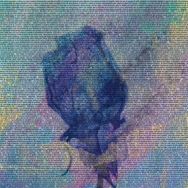 Obra de arte 9